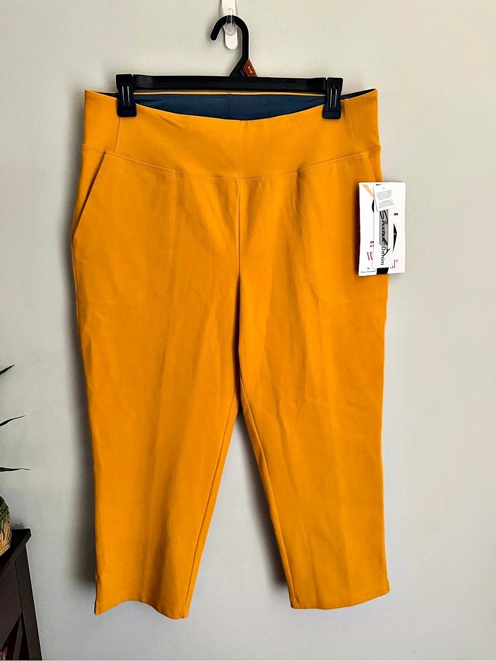 Women With Control Tummy Control with Blu-Tec Control System Cropped Pants 1X